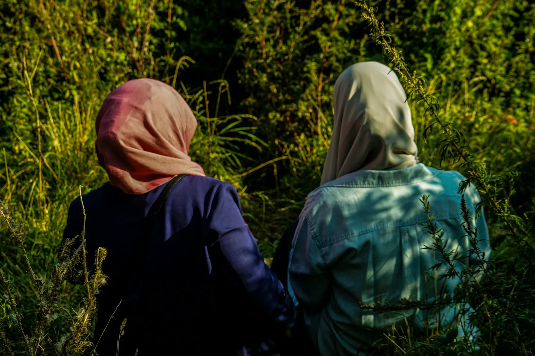 Dos mujeres con pañuelo, de espaldas, caminan juntas entre la vegetación.