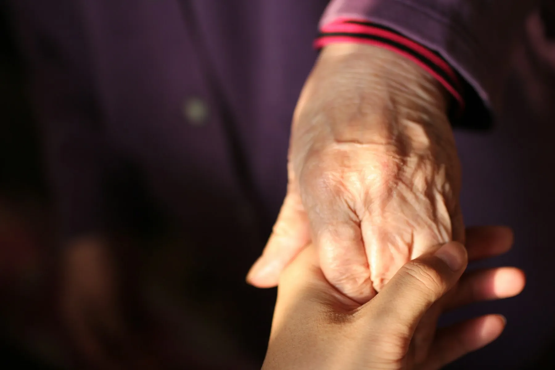 Una mano joven sostiene con ternura la mano arrugada de una persona anciana.
