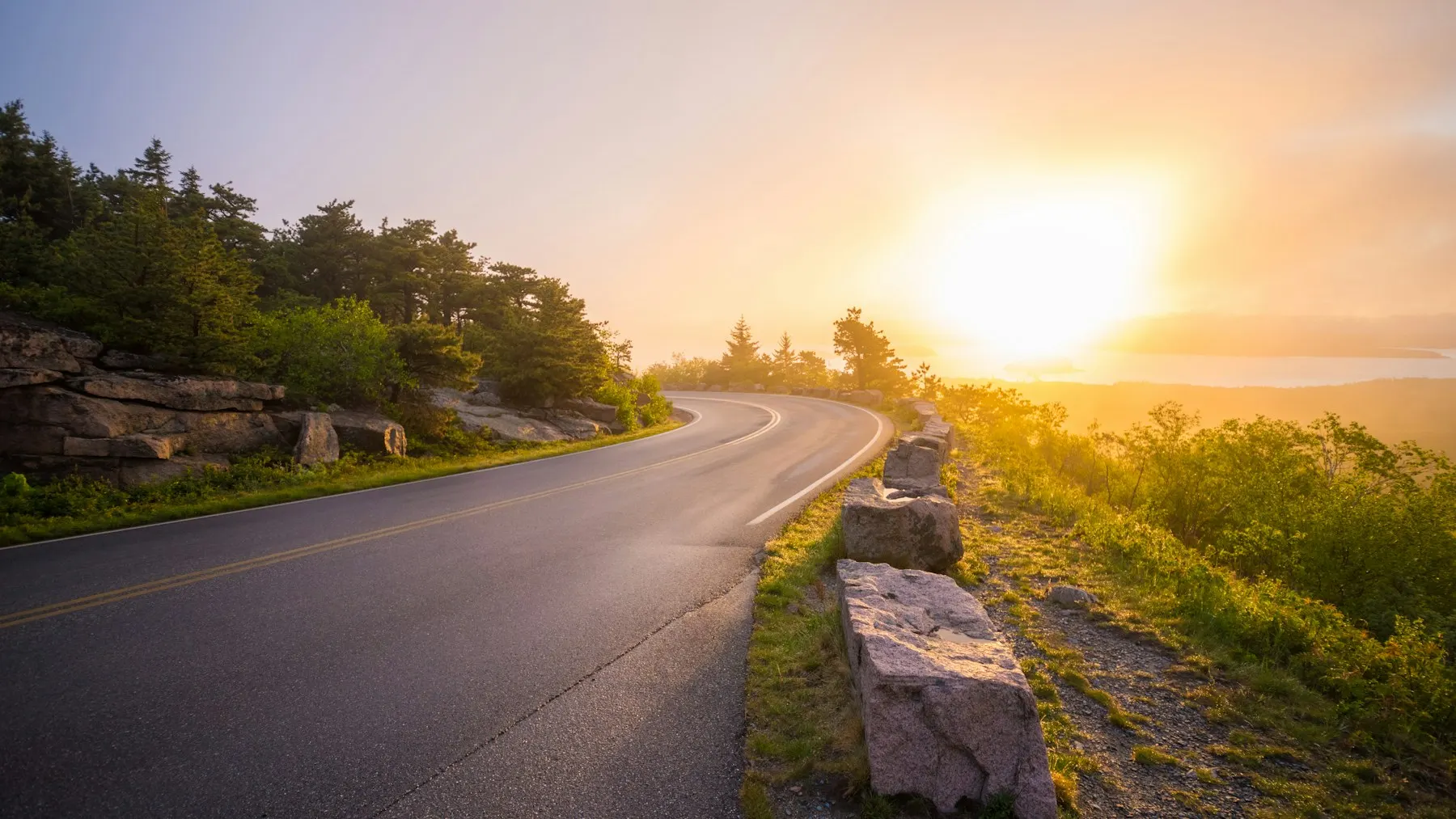 Una carretera vacía al amanecer, con el sol saliendo entre los árboles.
