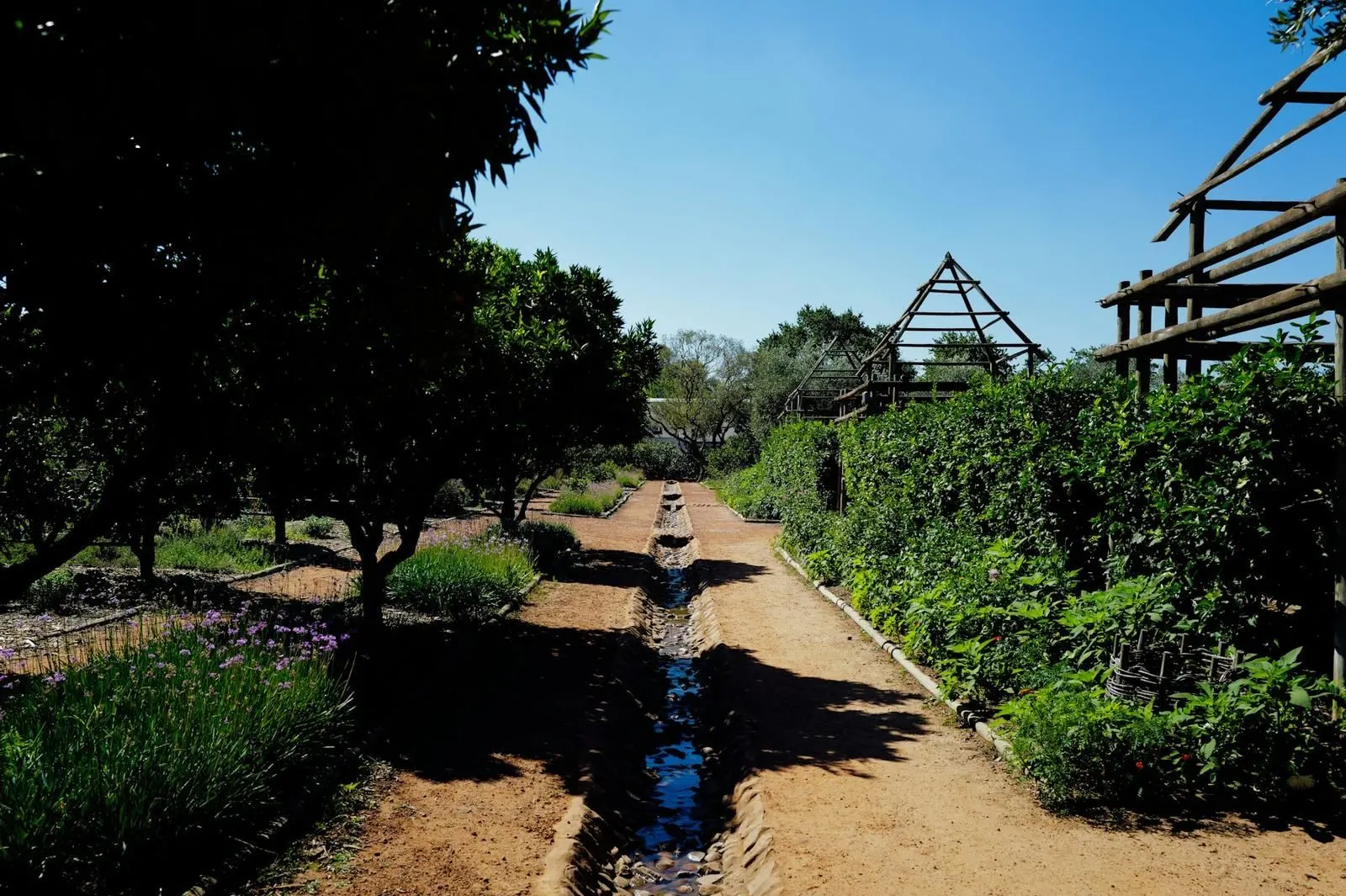 Una noria de madera junto a un canal de riego rodeado de vegetación.