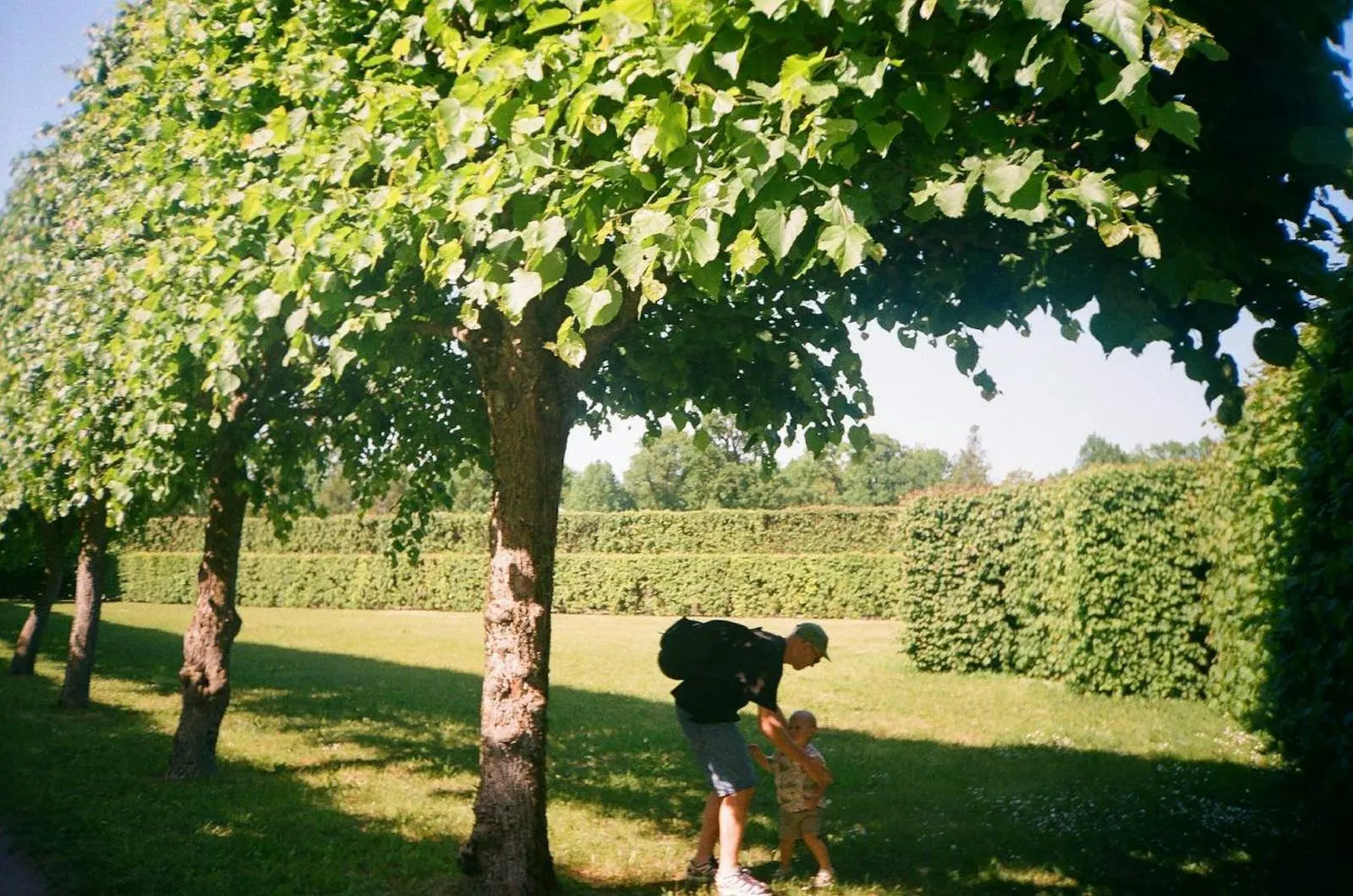 Un padre y su hijo pequeño caminando de la mano bajo los árboles de un parque, a la distancia.
