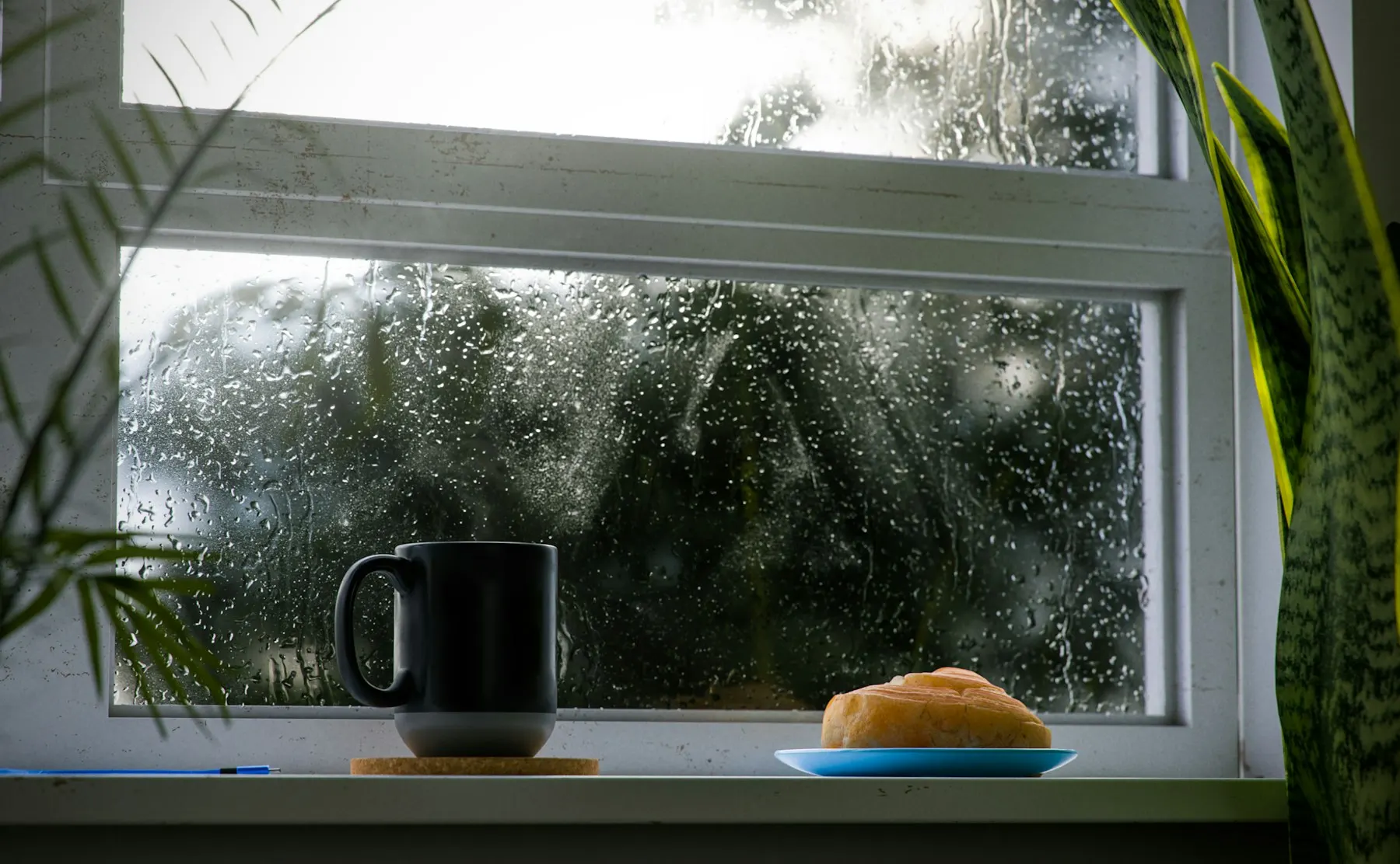Una taza junto a una ventana con gotas de lluvia y una planta, en calma.